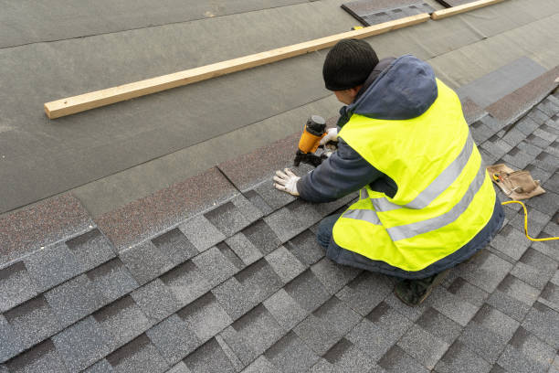 Best Roof Gutter Cleaning  in Ilion, NY