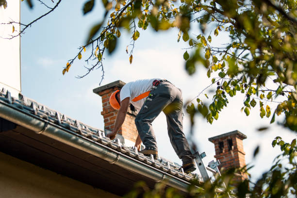 Best Roof Restoration Services  in Ilion, NY