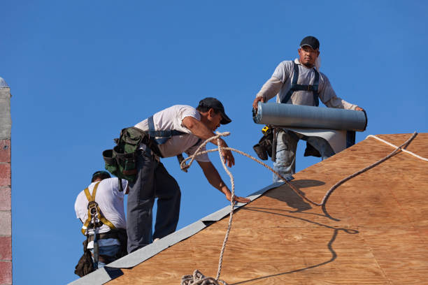Best Gutter Installation and Roofing  in Ilion, NY